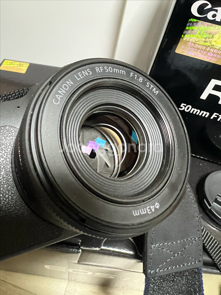 캐논 r8+rf50.8 일괄--5