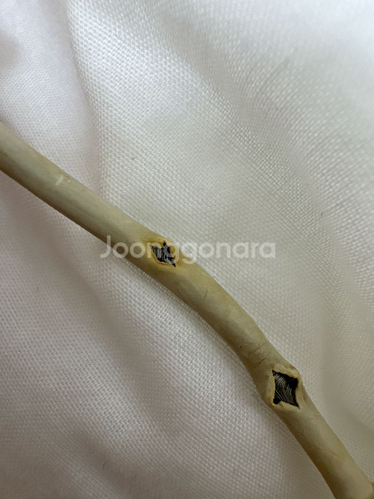 애플 정품 맥세이프 45W 충전기--2