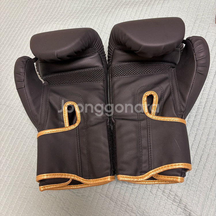 브레이브 복싱 글러브 12온스--1