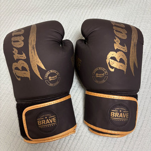 브레이브 복싱 글러브 12온스