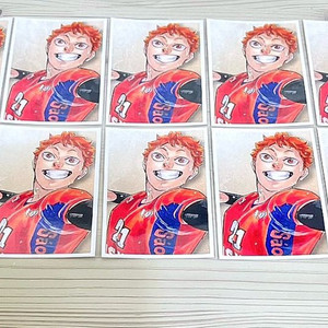 10장 일괄) 하이큐 히나타 추억 스냅 포토카드 포카 이미지