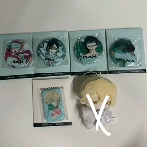 에이스테 뱃지 에일리언스테이지 누이 아낙트가든 이반루카