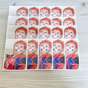 20장 일괄) 하이큐 히나타 추억 스냅 포토카드 포카 이미지