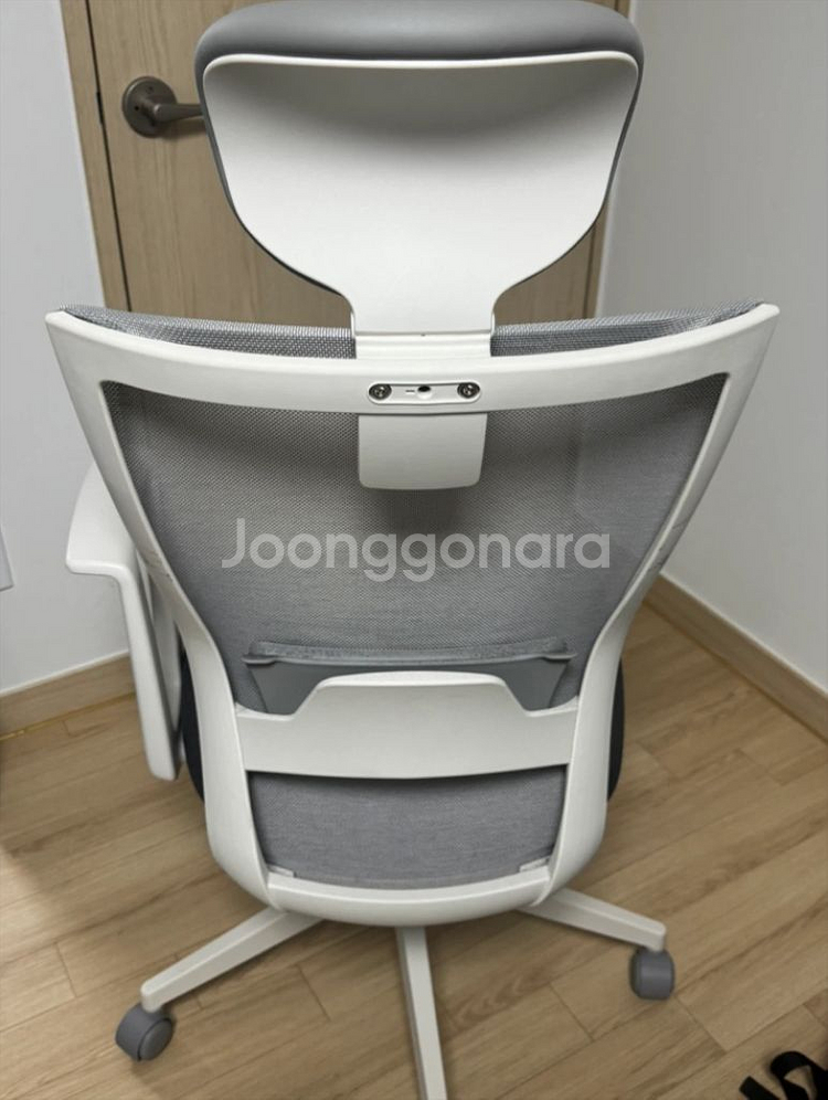 시디즈 T50 라이트--2