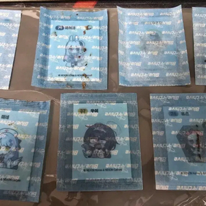 블루 아카이브 띠부실