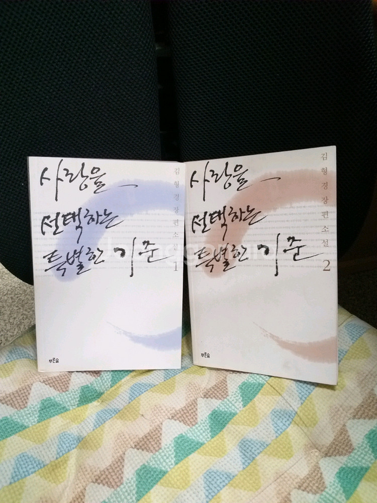 *사랑을선택하는특별한기준 전2권:김형경장편소설--0