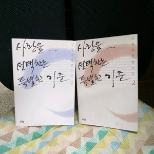 *사랑을선택하는특별한기준 전2권:김형경장편소설