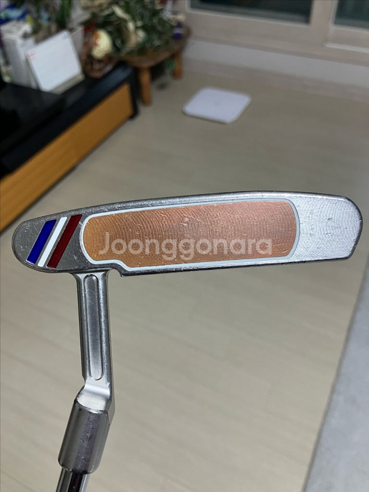 스카티 카메론 한정판 퍼터--0