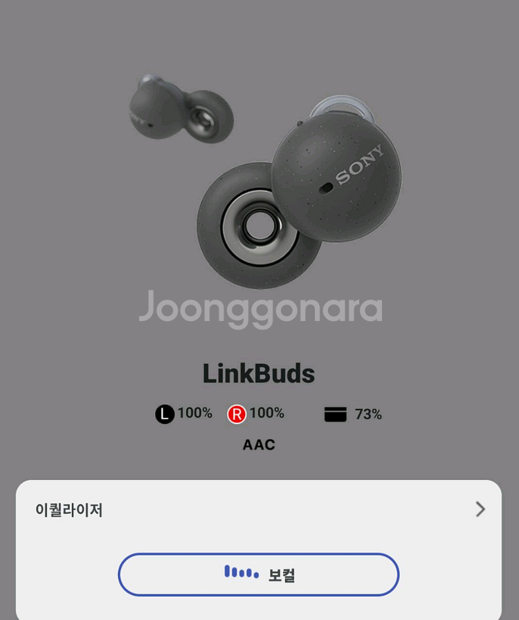 소니 링크버즈 무선 이어폰--1