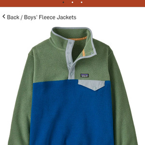 파타고니아 신칠라