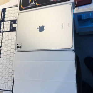 아이패드 프로11 M4 1테라 새상품급