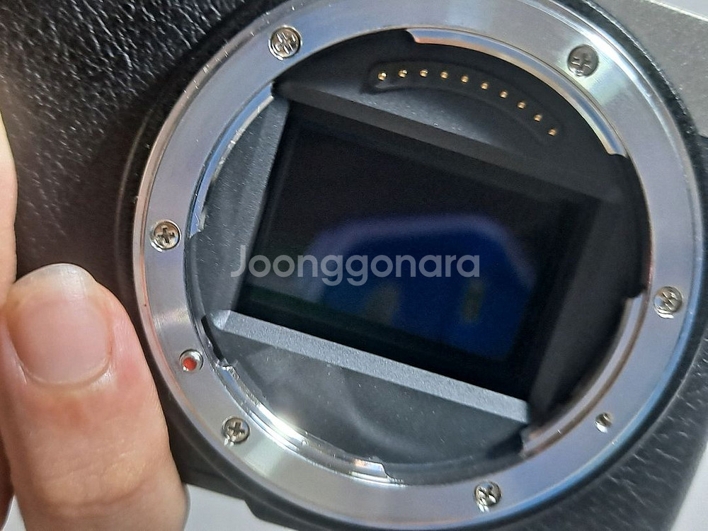 루믹스 s9 + 2060 렌즈 156만. 작례o--2