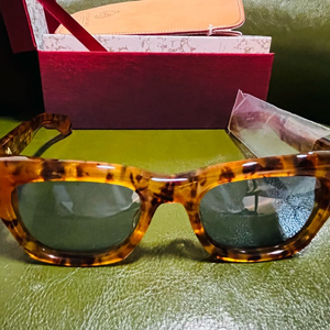 자크마리마지 딜런 미스터포터