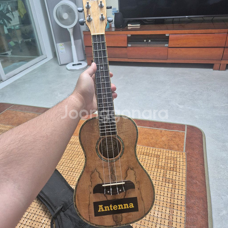 오스카 슈미츠 ou7--1