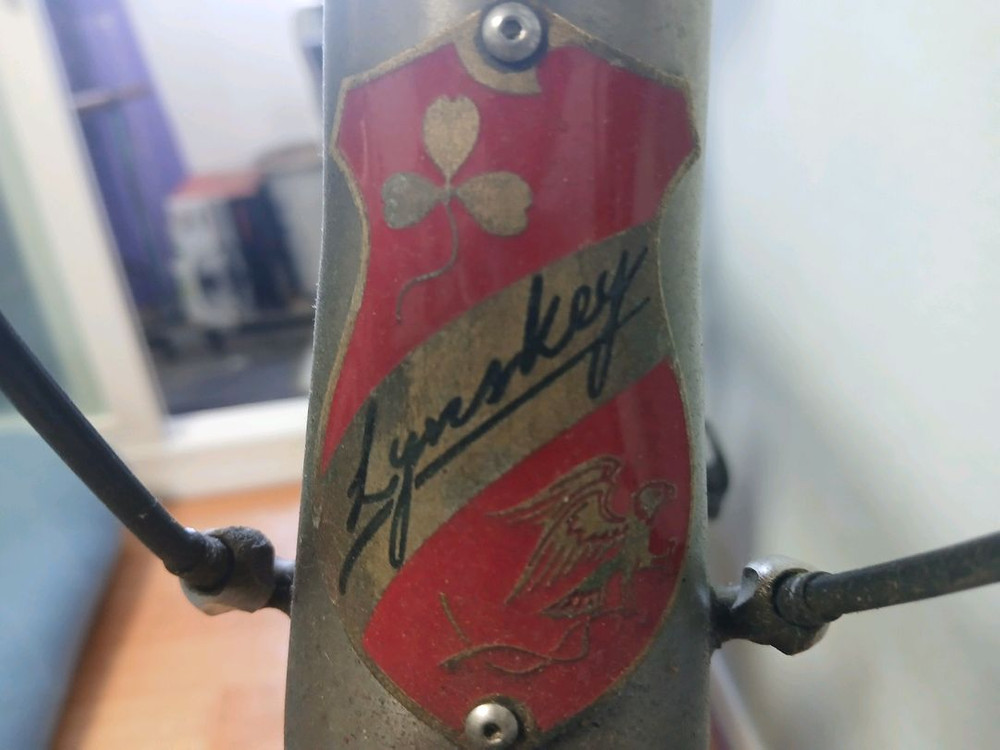 린스키 헬릭스 티타늄 자전거 팝니다 (로드자전거) 이미지