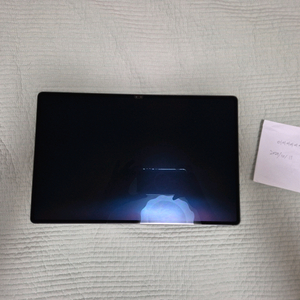 갤럭시 탭 s9 울트라 256gb wifi