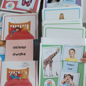 힝클러 슬라이딩 영어 그림단어카드 알파벳 동물 숫자