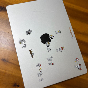 맥북 프로 14 실버 M4 10코어 16GB 512G