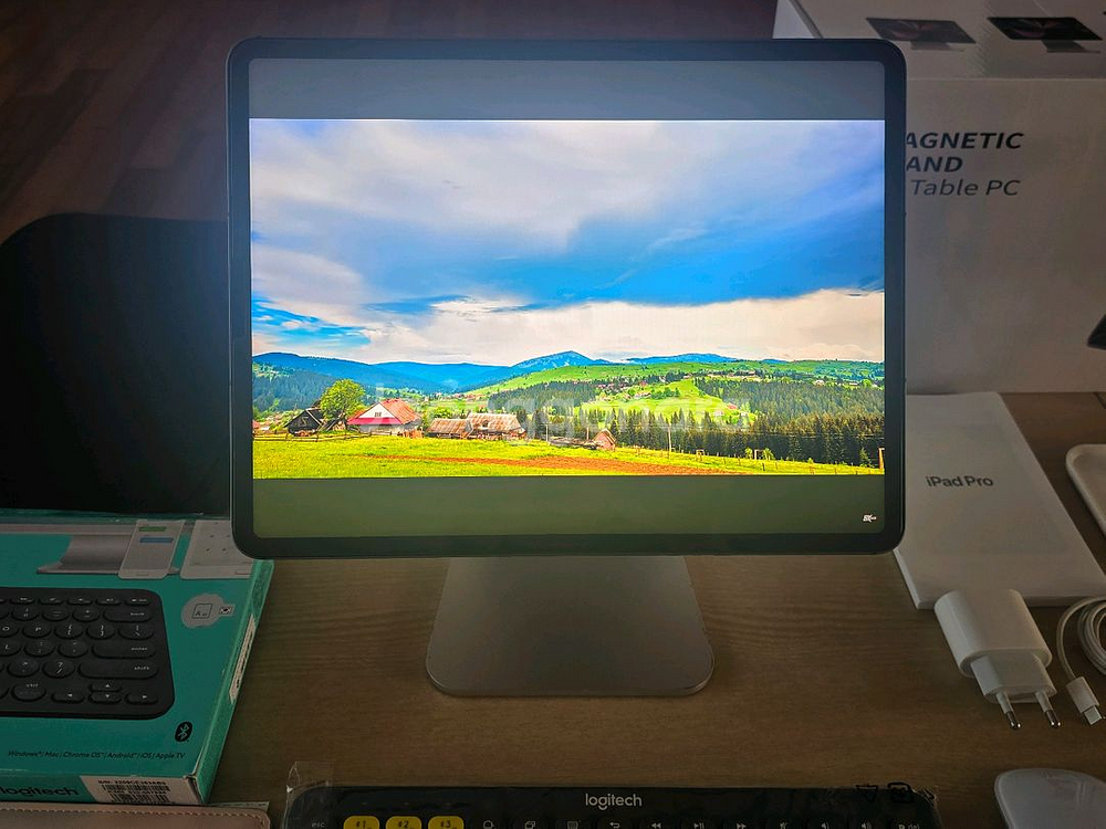 아이패드 프로 5세대 12.9인치 128GB 셀룰러--12