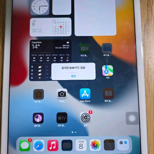 아이패드 미니4 셀룰러 64 gb