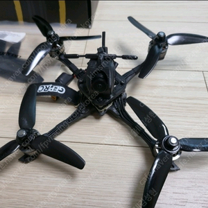 FPV 드론 GEPRC Dolphin 4인치 드론 팜