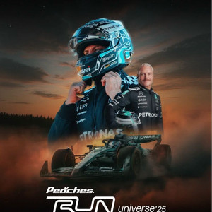 F1 쇼런 그리드존 티켓 2장 팝니다