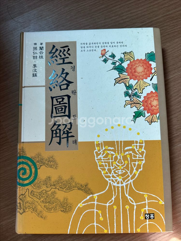 경락도해--0