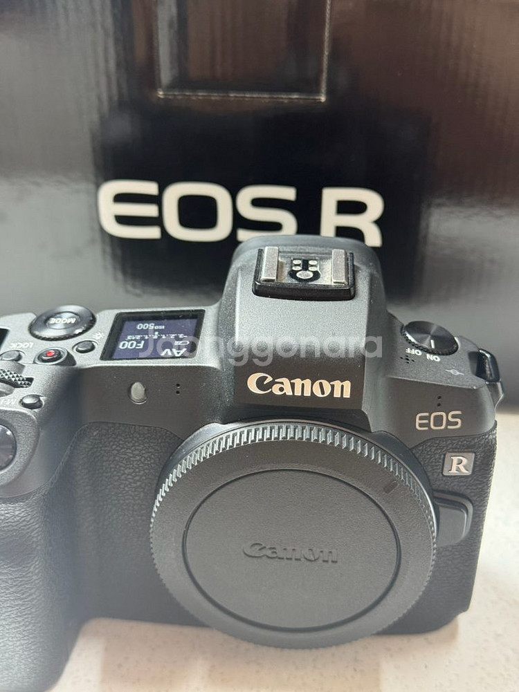 캐논 R 바디--0