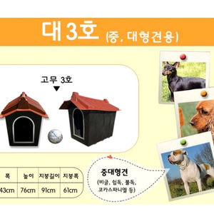 중대형견 집