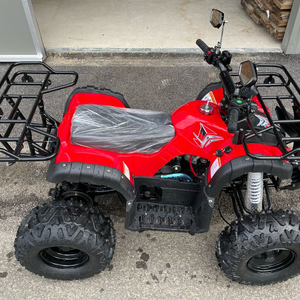 ATV,사발이,4륜바이크,4륜오토바이 새상품 팝니다