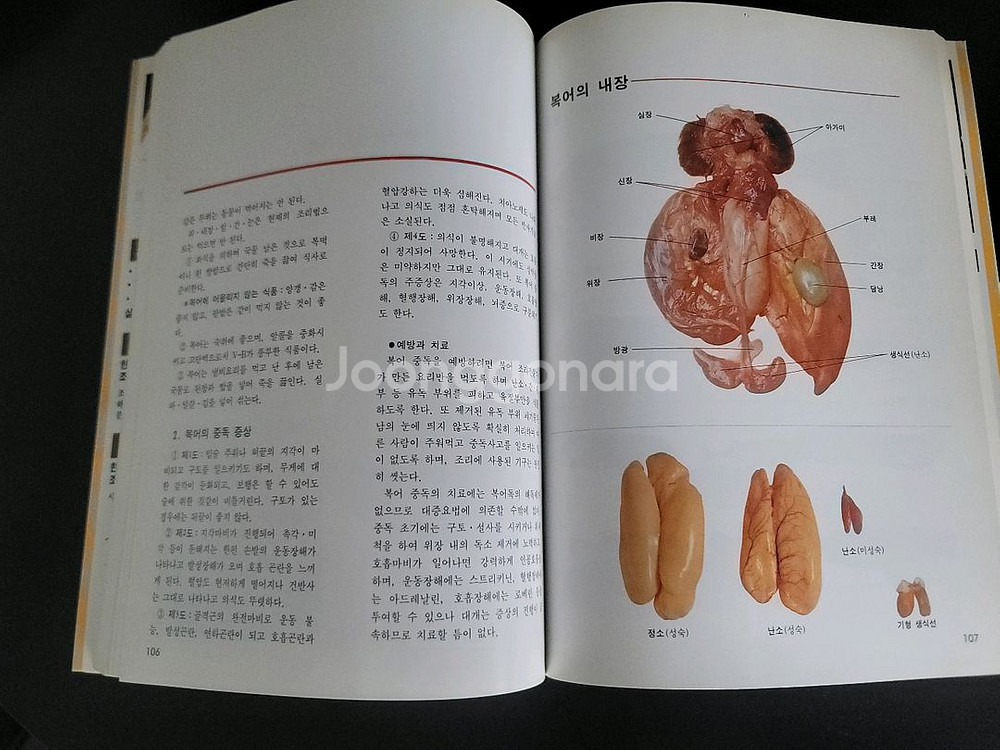 조리기능사 실기 문제집 (일식/중식/복어)--3