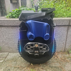 비고드 EX30 3600wh 134V - 전동휠