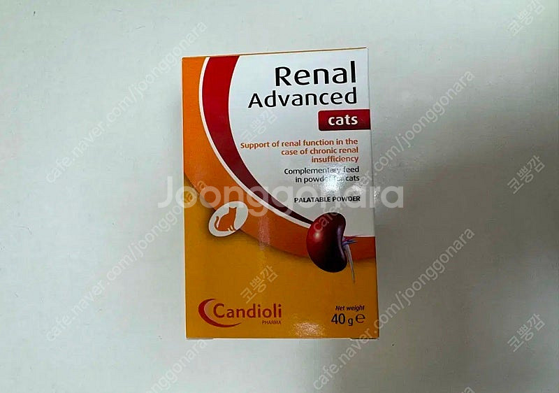 레날어드밴스드 캣--0