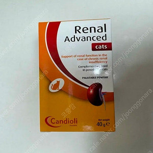 레날어드밴스드 캣