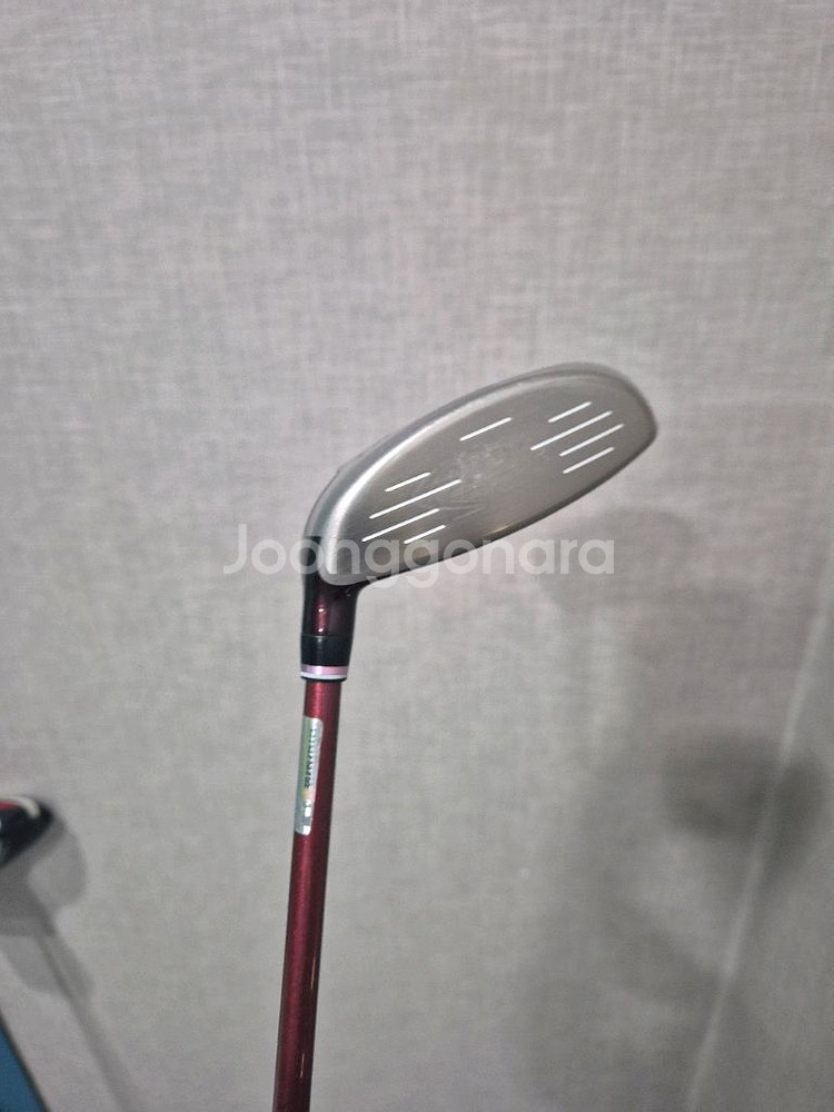 젝시오12 여성용 3번우드--3