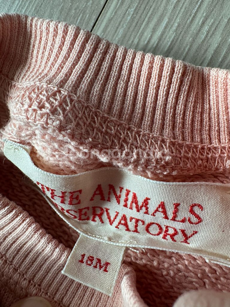 타오 스웻 세트(24년 구매)--1