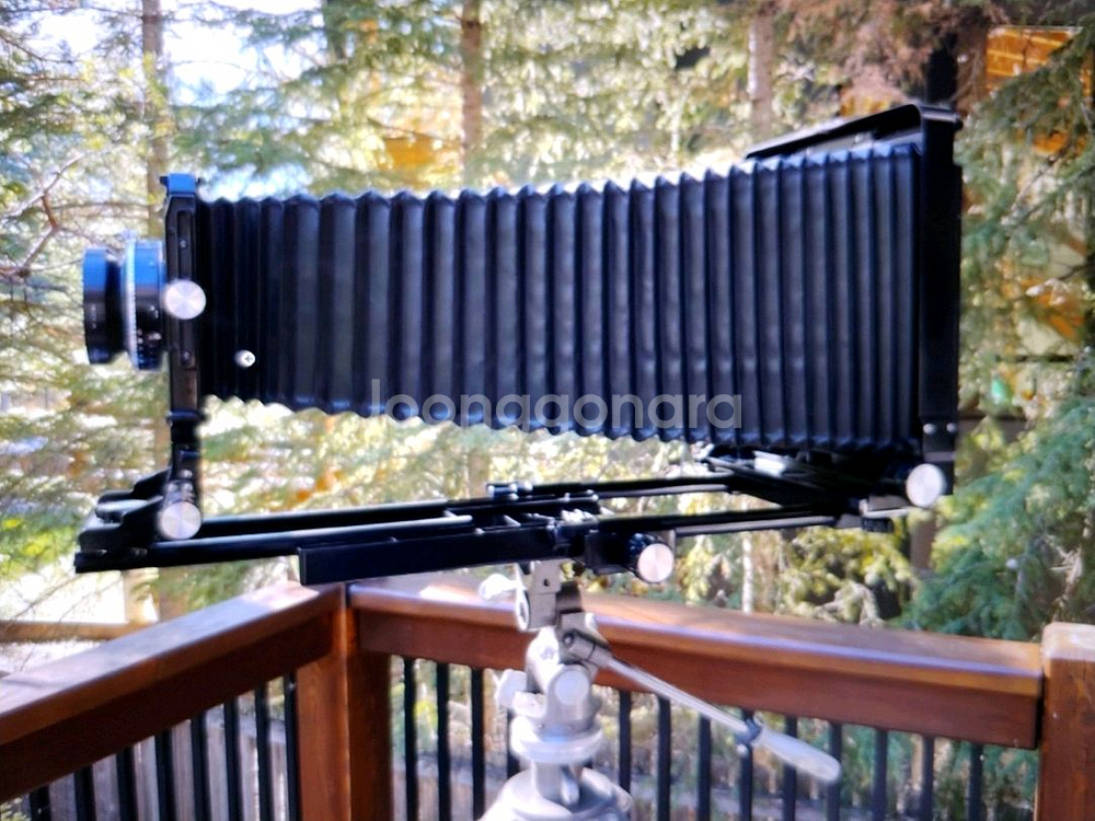 토요 8x10 대형 필드카메라(TOYO 810M)--4