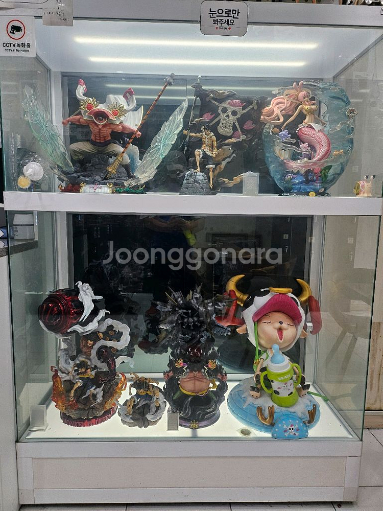 두트 장식장--0