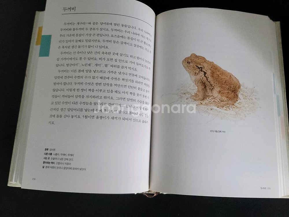 보리 어린이 동물 도감--4