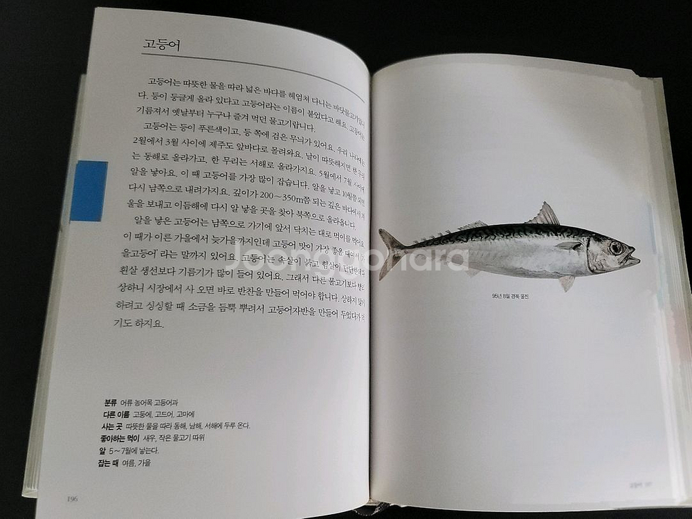 보리 어린이 동물 도감--6