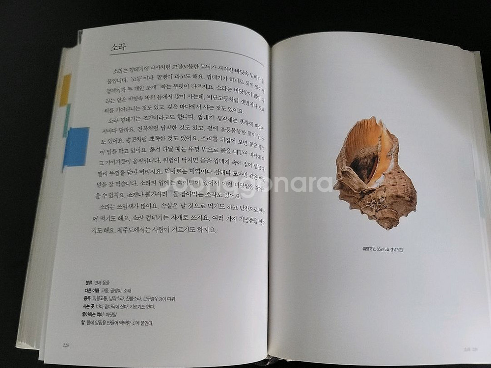 보리 어린이 동물 도감--8