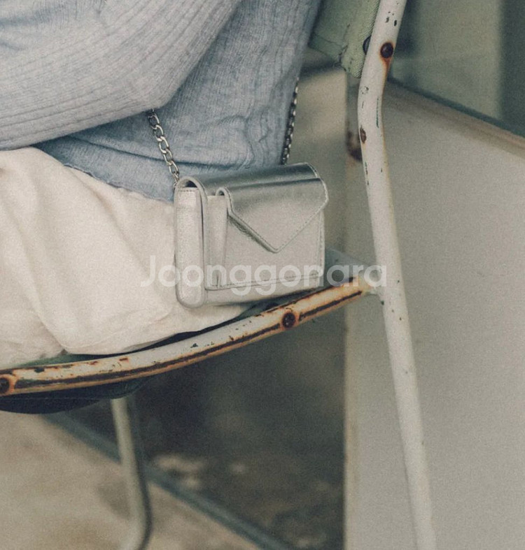 아호르 트윈 마이크로 실버 실버백--1