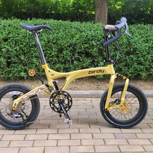 버디 GT 22단 업글 버젼