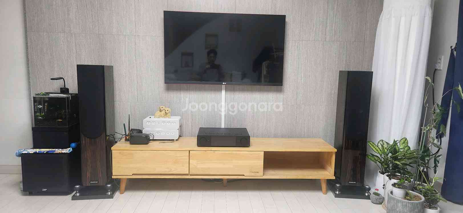 톨보이 스피커 모니터오디오 5세대 GOLD 200--0