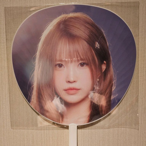 프로미스나인 일본콘 한정 MD 굿즈 양도, 대형부채