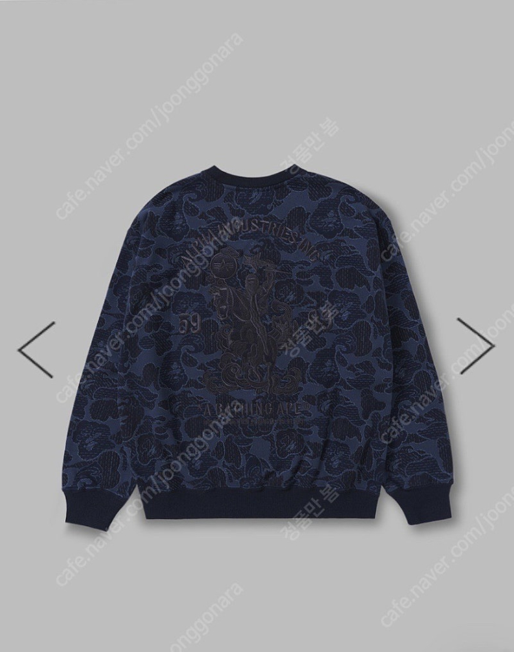 베이프 맨투맨--1