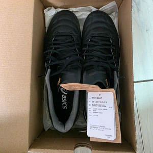 아식스 DS LIGHT X-FLY 5 270mm일본구매