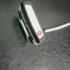 오디세이 제일버드 버사 34인치