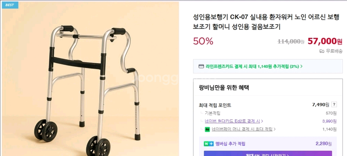 성인용 보행기--1