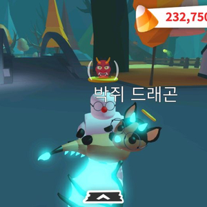 입양하세요 펫 삽니다